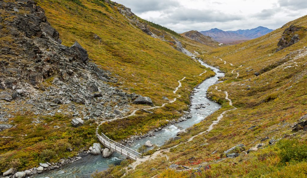 Savage River Loop Trail, Denali National Park