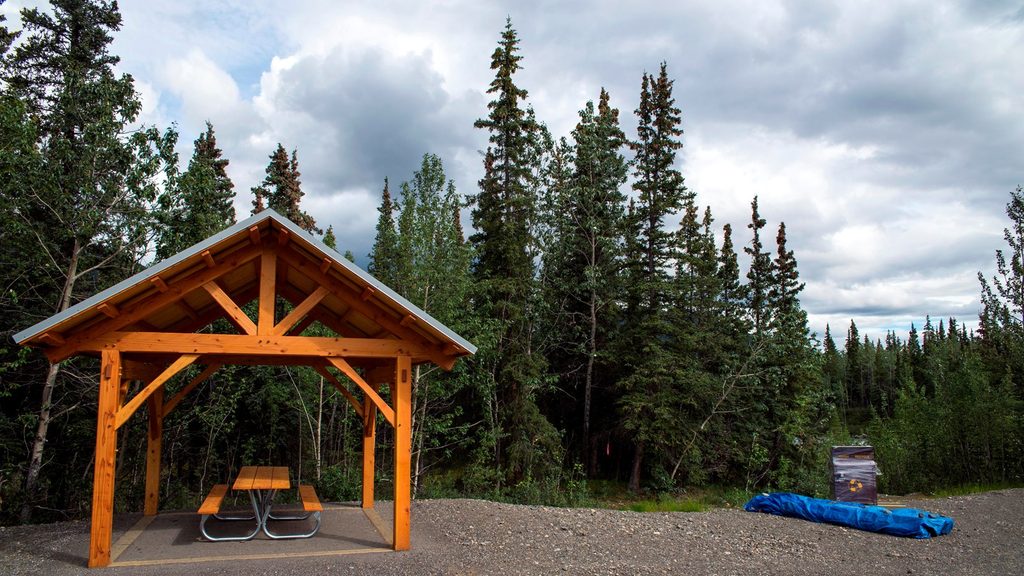 Riley Creek Loop Trail, Denali National Park