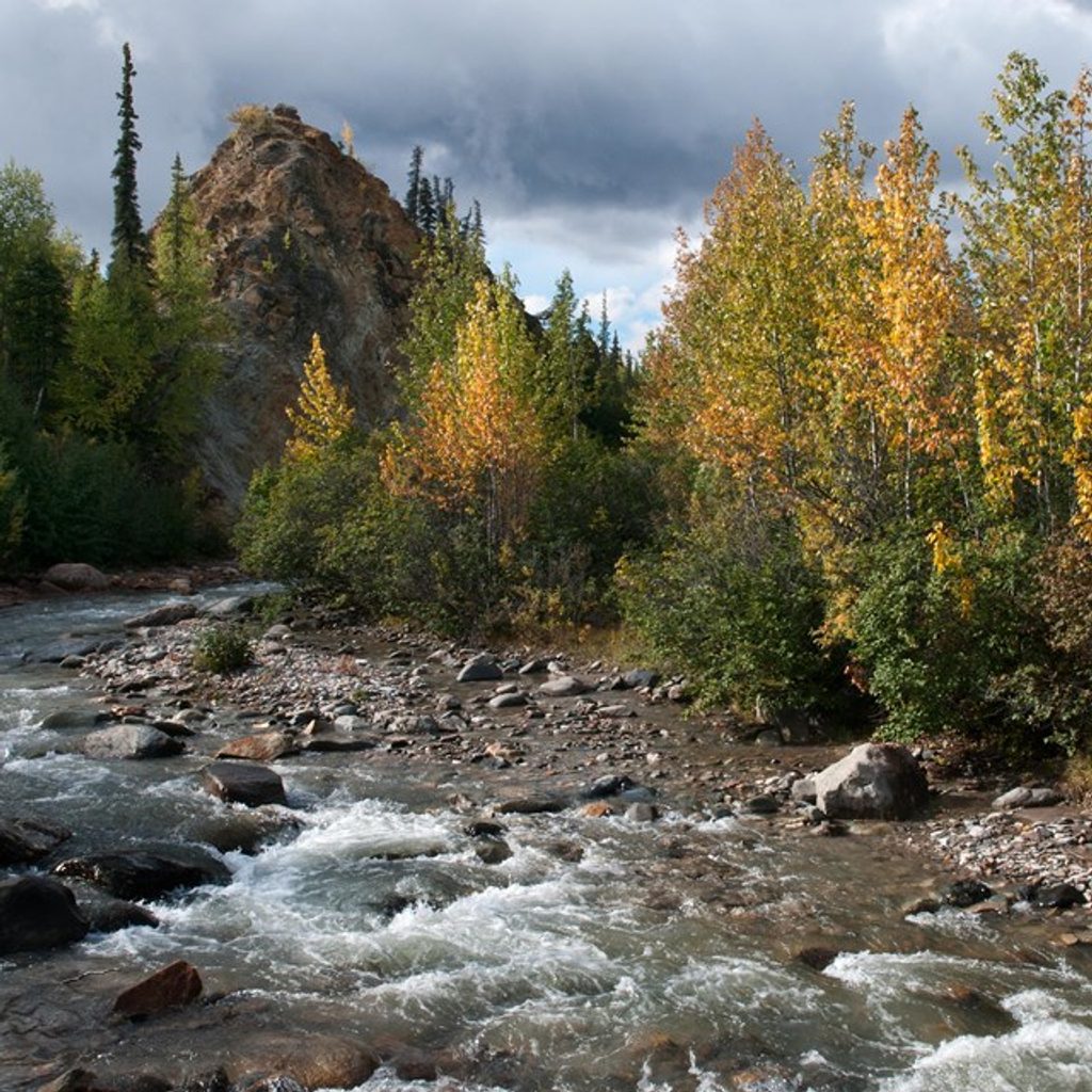 Triple Lakes Trail, Denali National Park