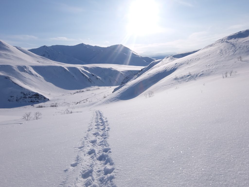 Gorge Creek Trail, Denali National Park