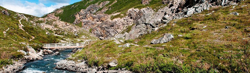 Savage Alpine Trail, Denali National Park