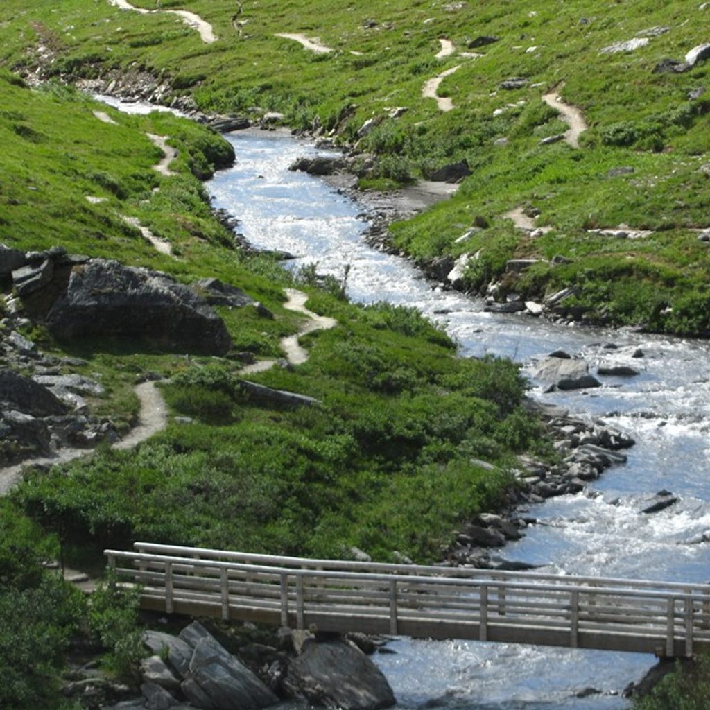Rock Creek Trail, Denali National Park