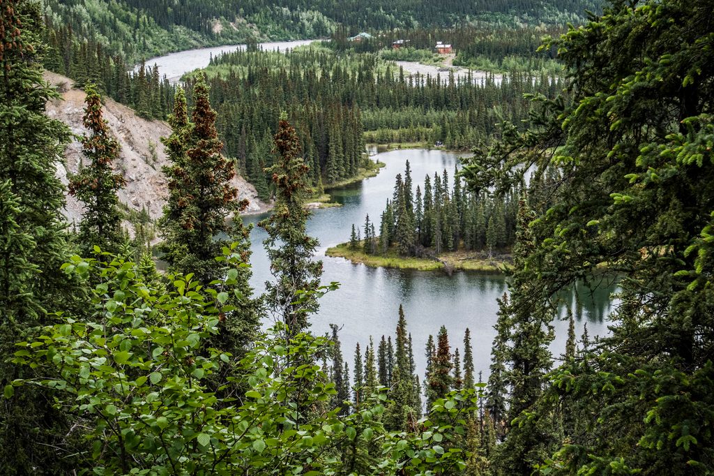 Horseshoe Lake Trail, Denali National Park
