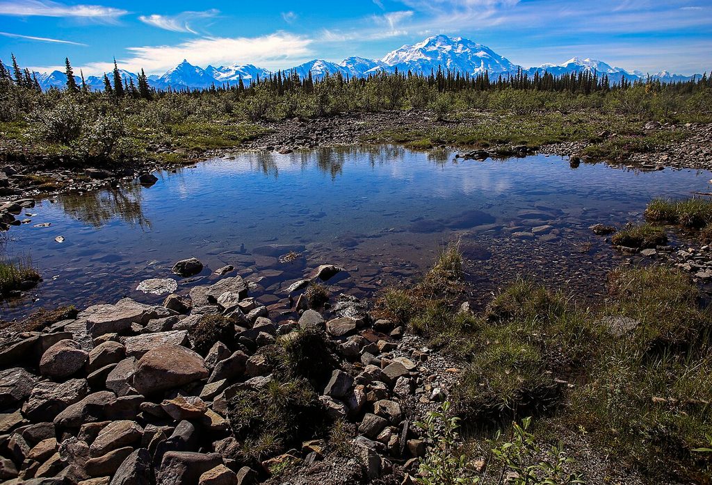 McKinley River Bar Trail, Denali National Park