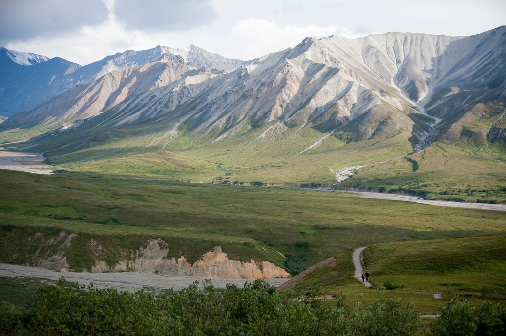 Tundra Loop Trail, Denali National Park