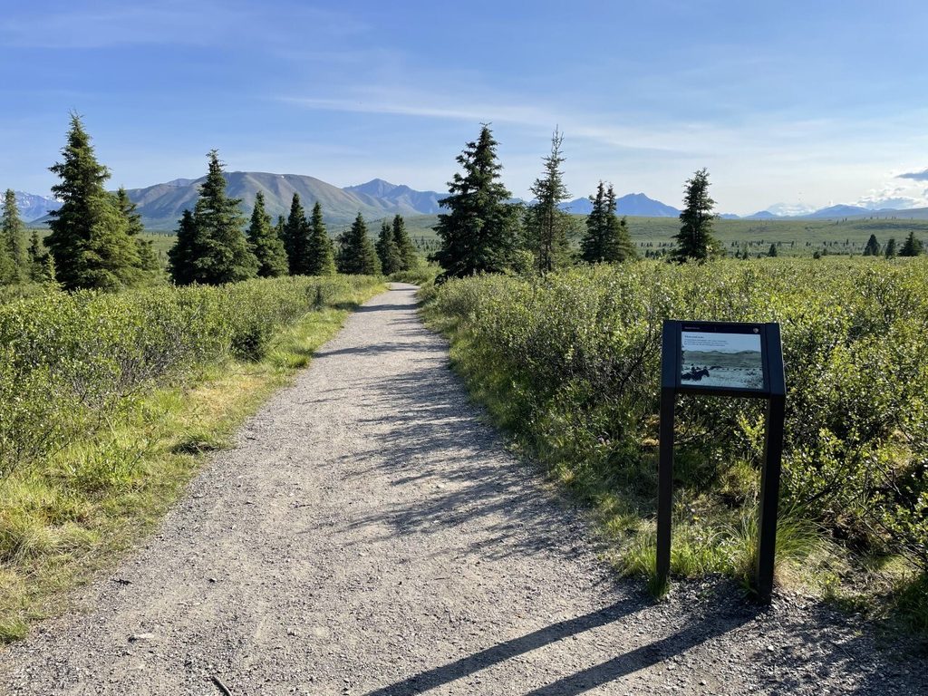 Mountain Vista Trail, Denali National Park