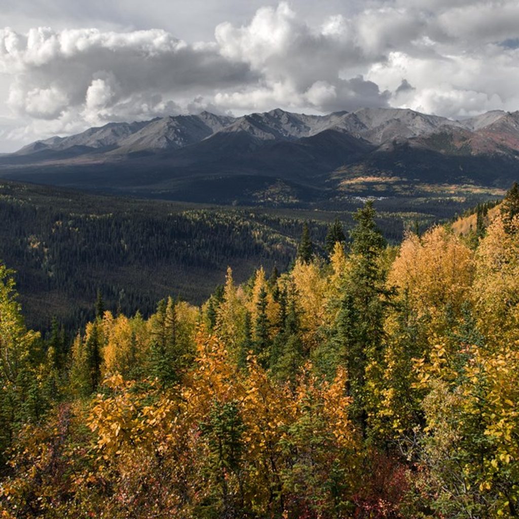 Mount Healy Overlook Trail, Denali National Park