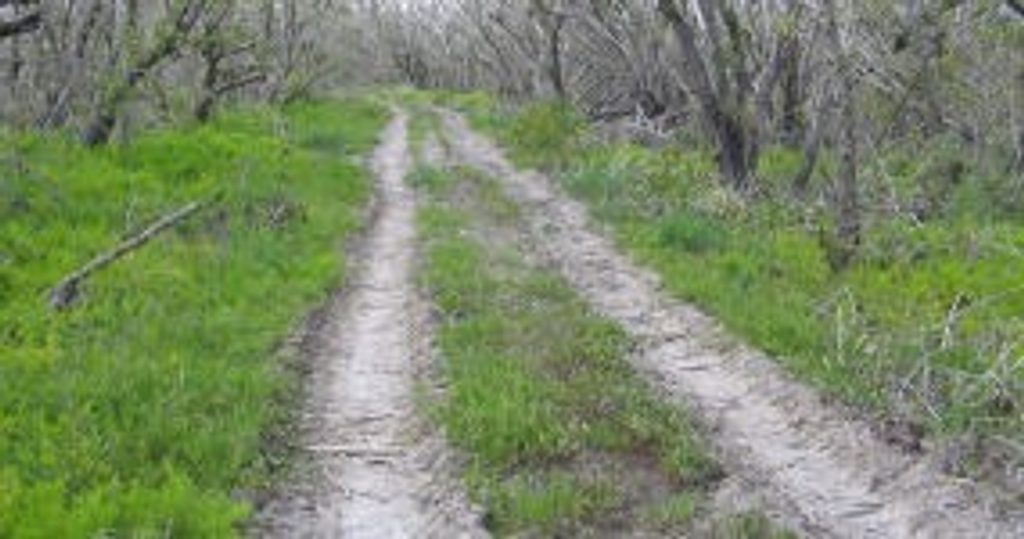 Rowdy Bend Trail, Everglades National Park