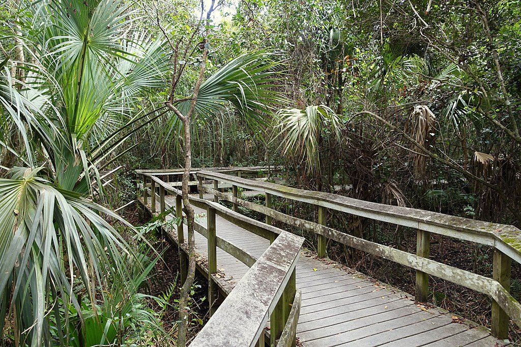 Mahogany Hammock Trail, Everglades National Park