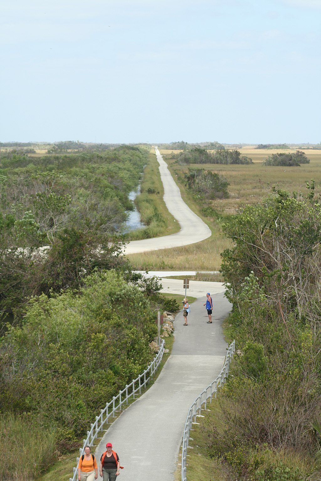 Shark Valley Tram Road, Everglades National Park