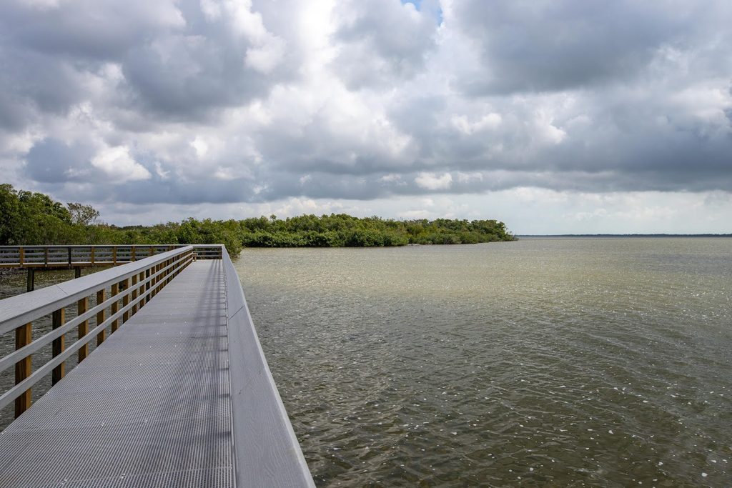 West Lake Trail, Everglades National Park