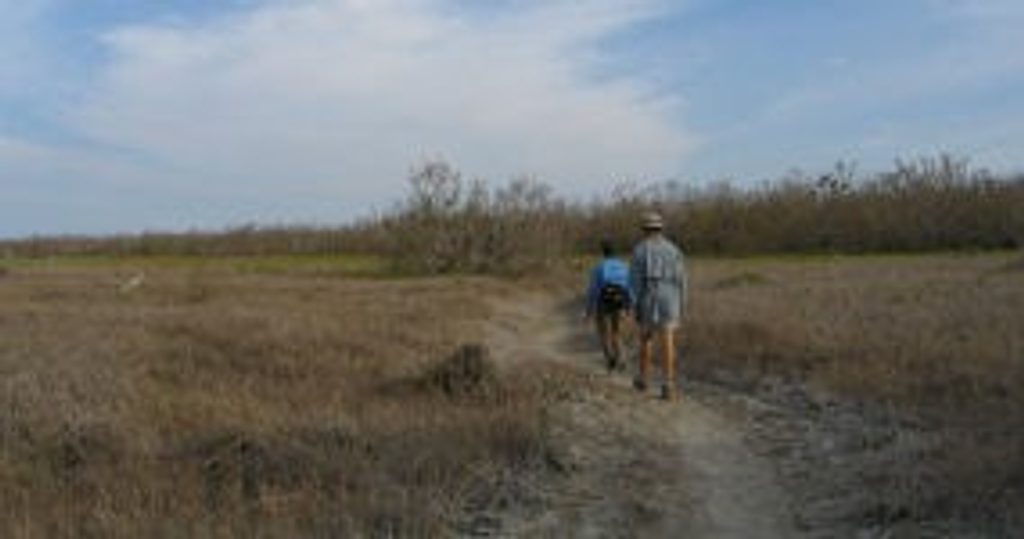 Christian Point Trail, Everglades National Park