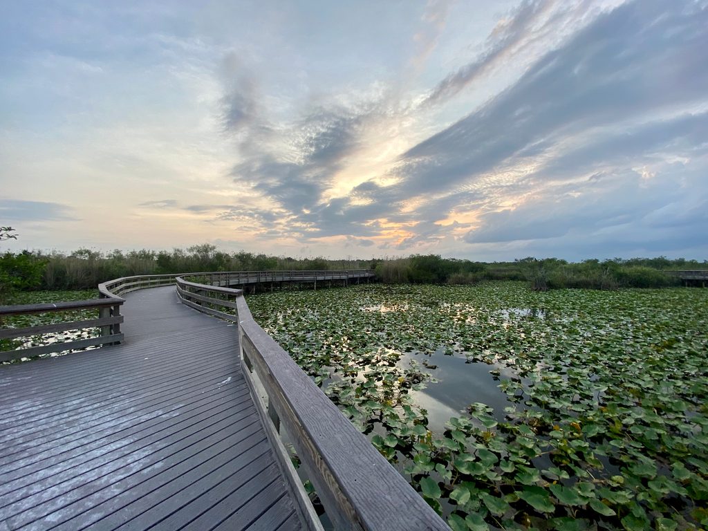 Anhinga Trail, Everglades National Park