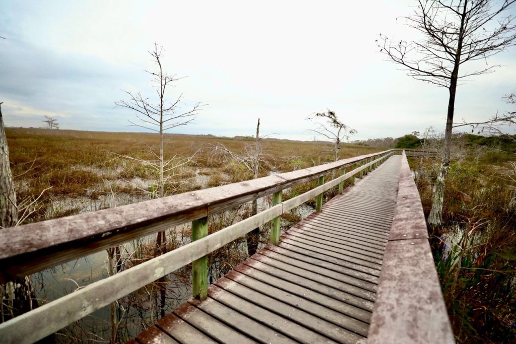 Pahayokee Overlook, Everglades National Park