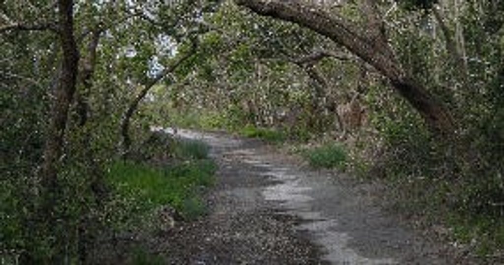 Guy Bradley Trail, Everglades National Park