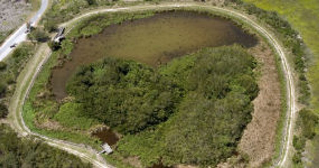 Eco Pond Trail, Everglades National Park