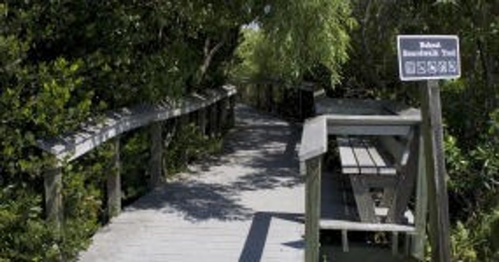 Bobcat Boardwalk Trail, Everglades National Park