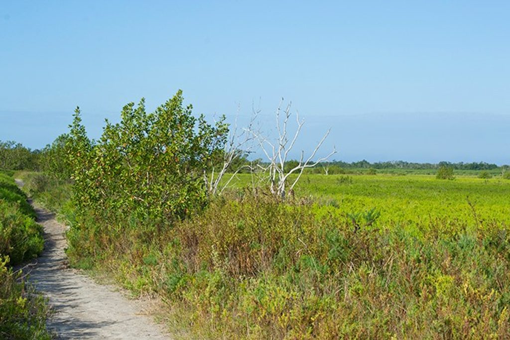 Coastal Prairie Trail, Everglades National Park