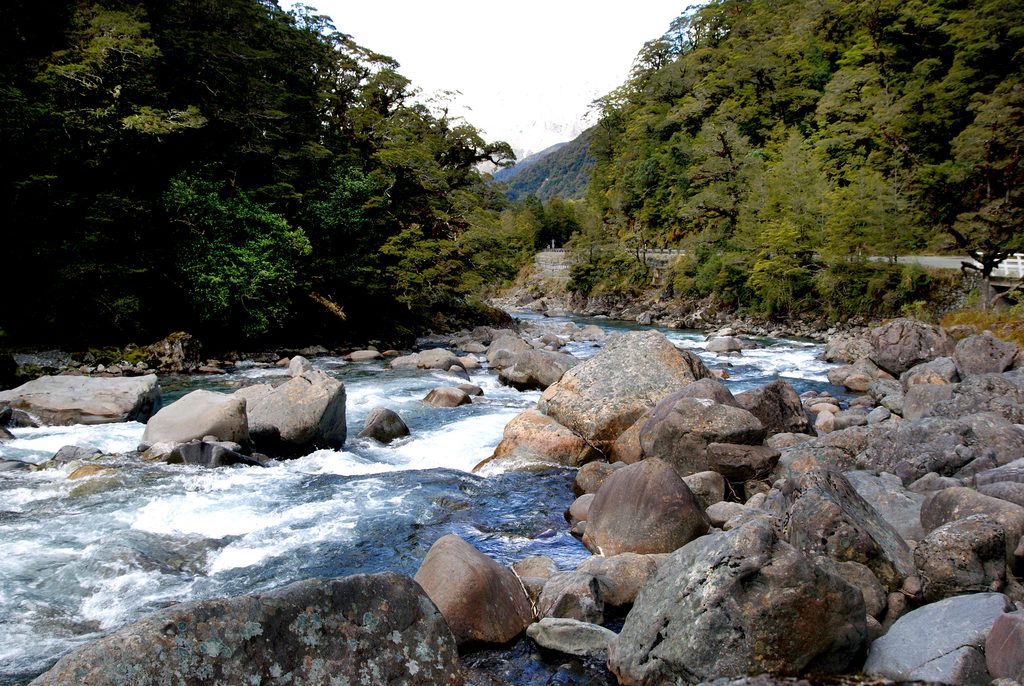 Hollyford Track, Fiordland National Park