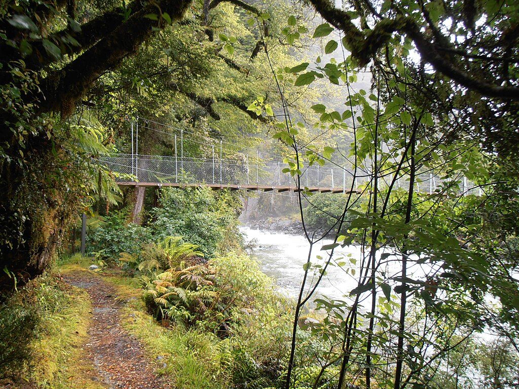 Hollyford Track to Hidden Falls, Fiordland National Park