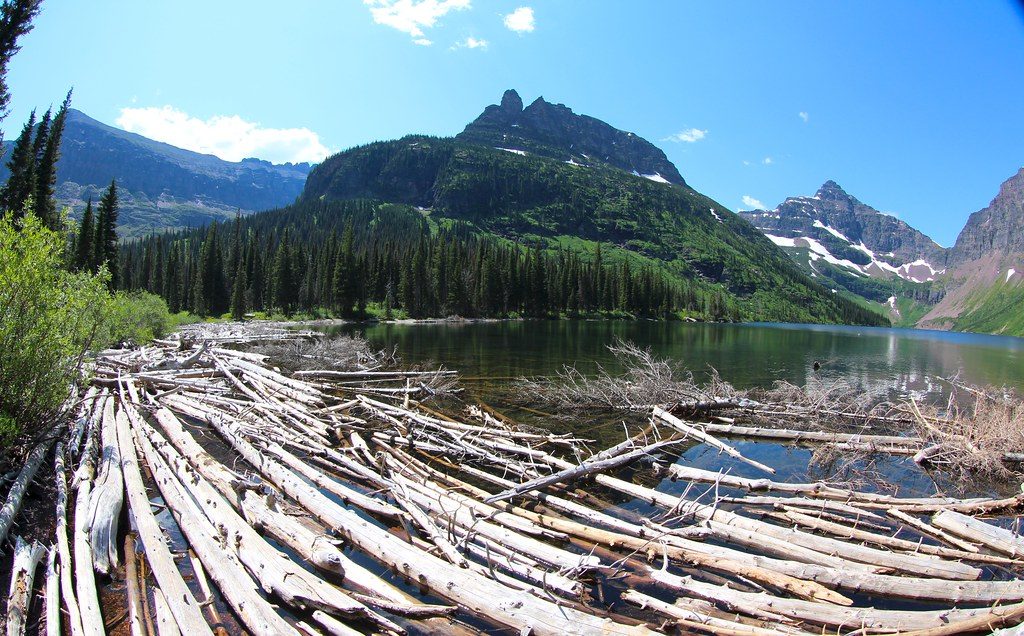 Upper Two Medicine Lake, Glacier National Park