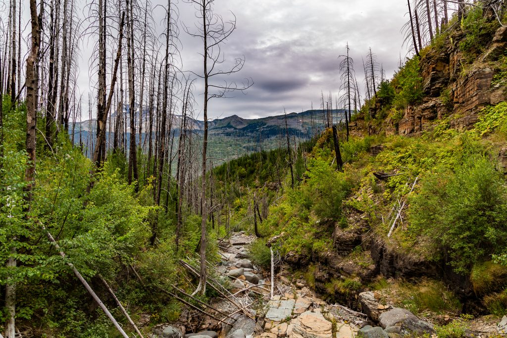 Granite Park Trail, Glacier National Park