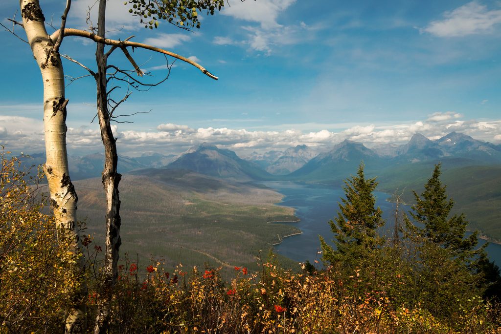 Apgar Lookout Trail, Glacier National Park