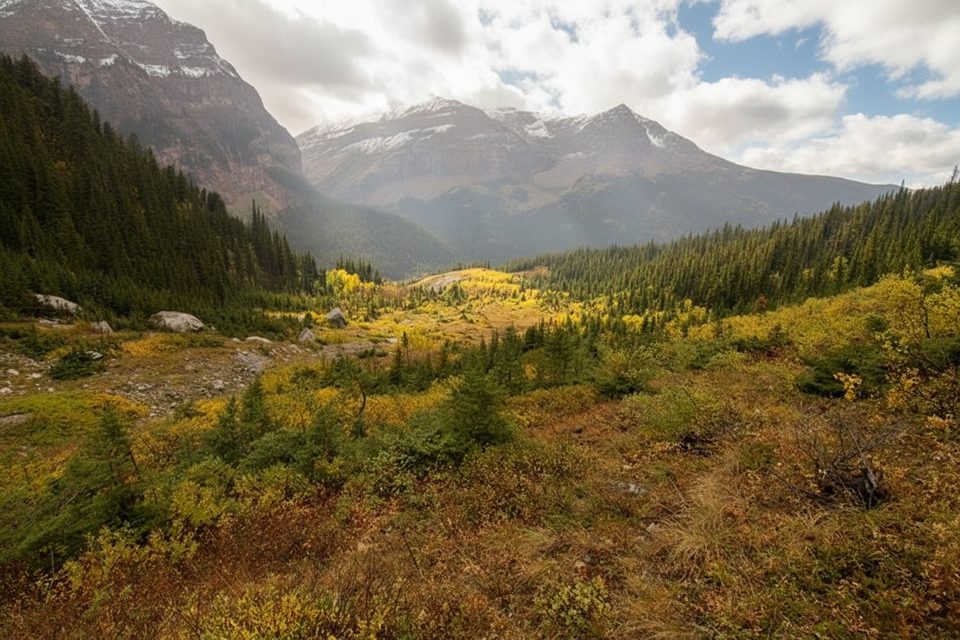 North Fork Belly River Trail, Glacier National Park