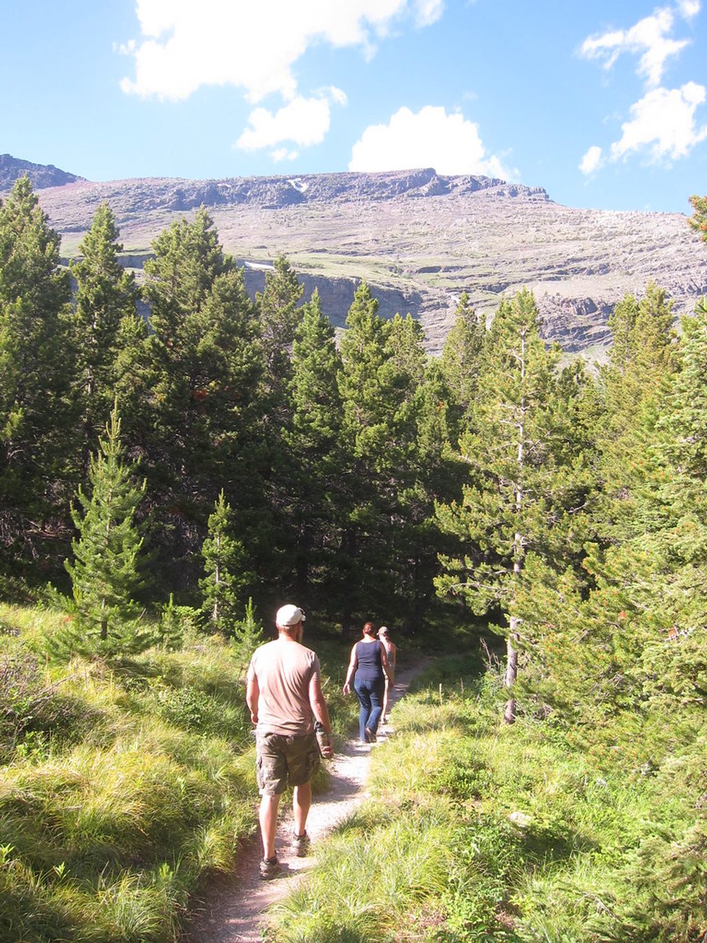 Swiftcurrent Nature Trail, Glacier National Park