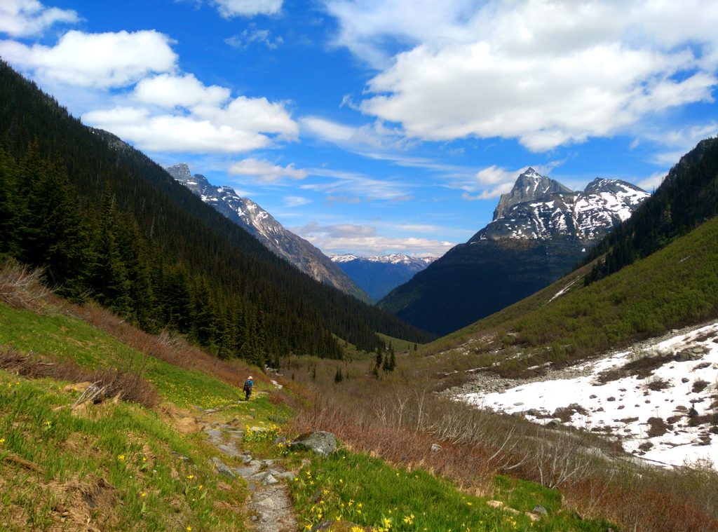Balu Pass Trail, Glacier National Park
