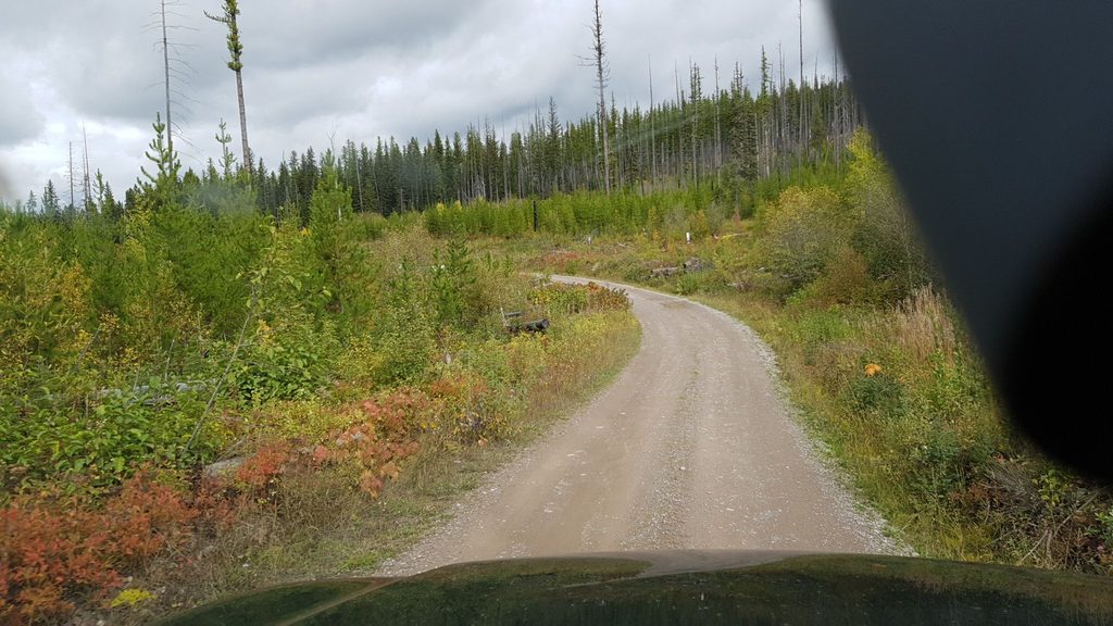 Howe Lake Trail, Glacier National Park