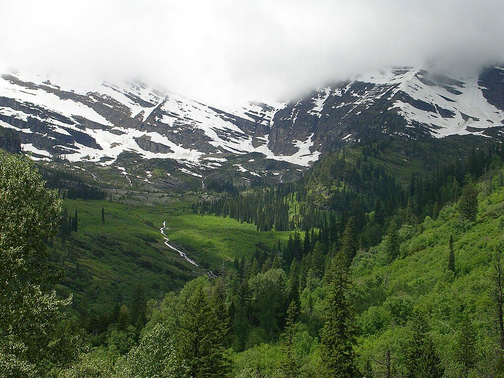 Mount Brown Trail, Glacier National Park