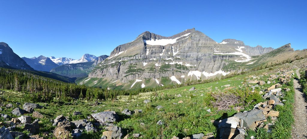 Piegan Pass Trail, Glacier National Park