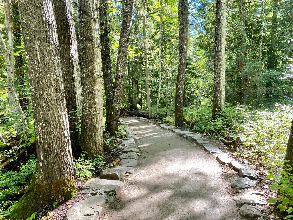 Trail of the Cedars, Glacier National Park