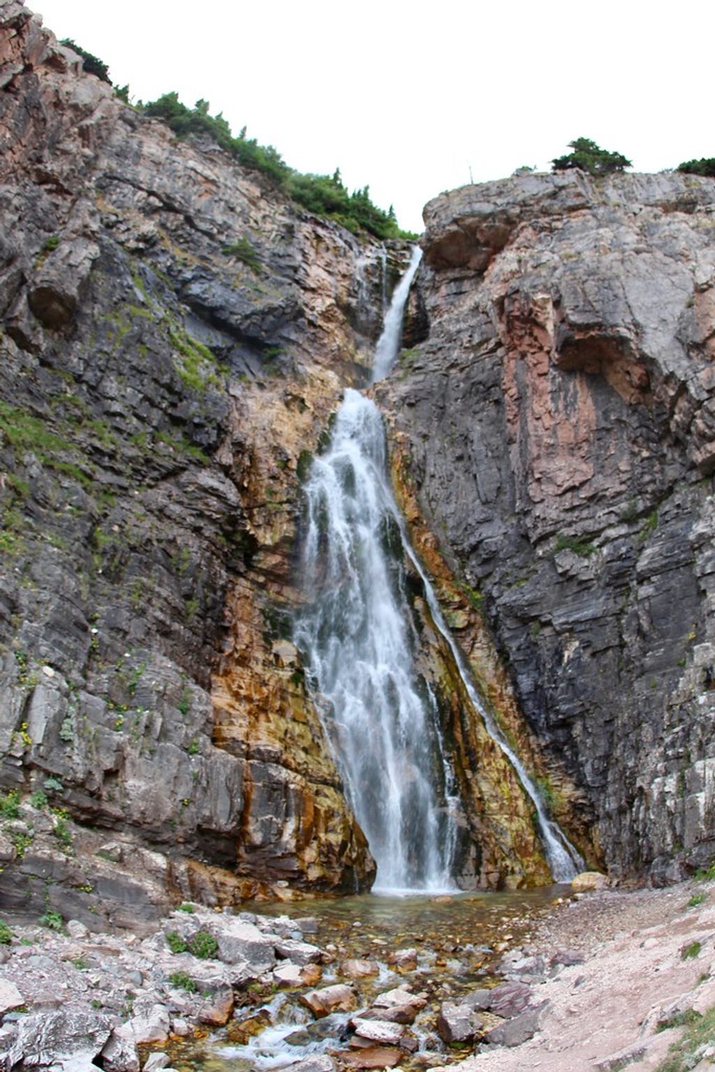 Apikuni Creek Trail, Glacier National Park