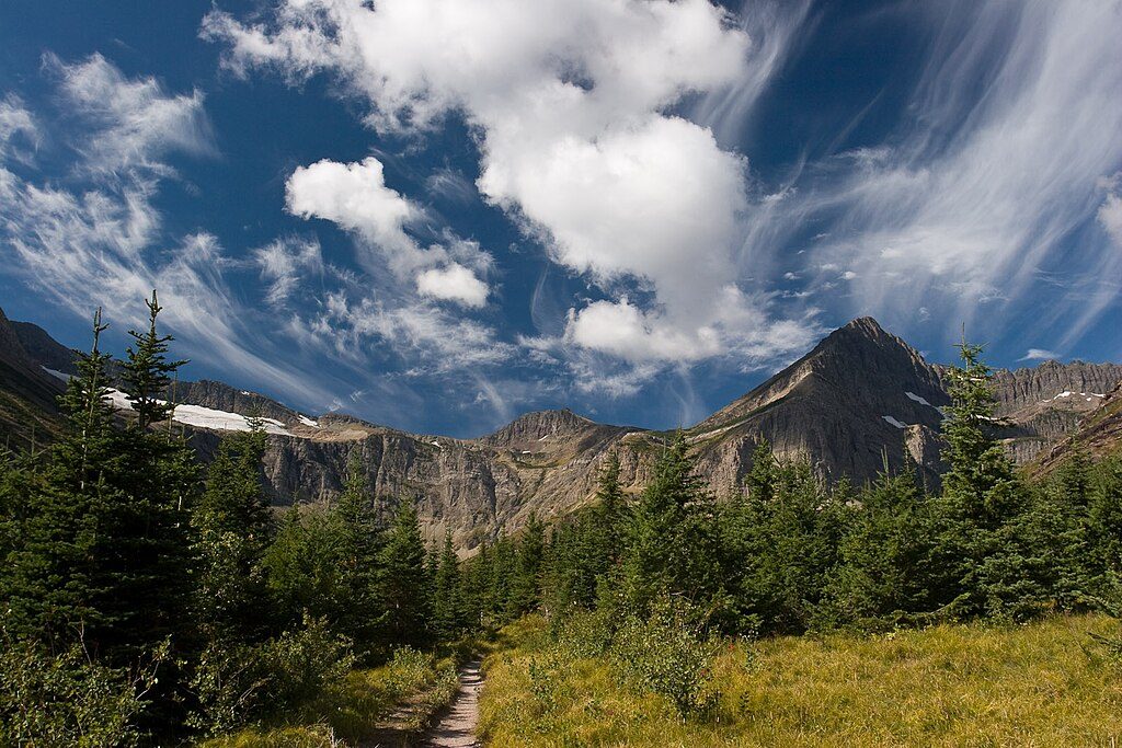 Swiftcurrent Pass Trail, Glacier National Park