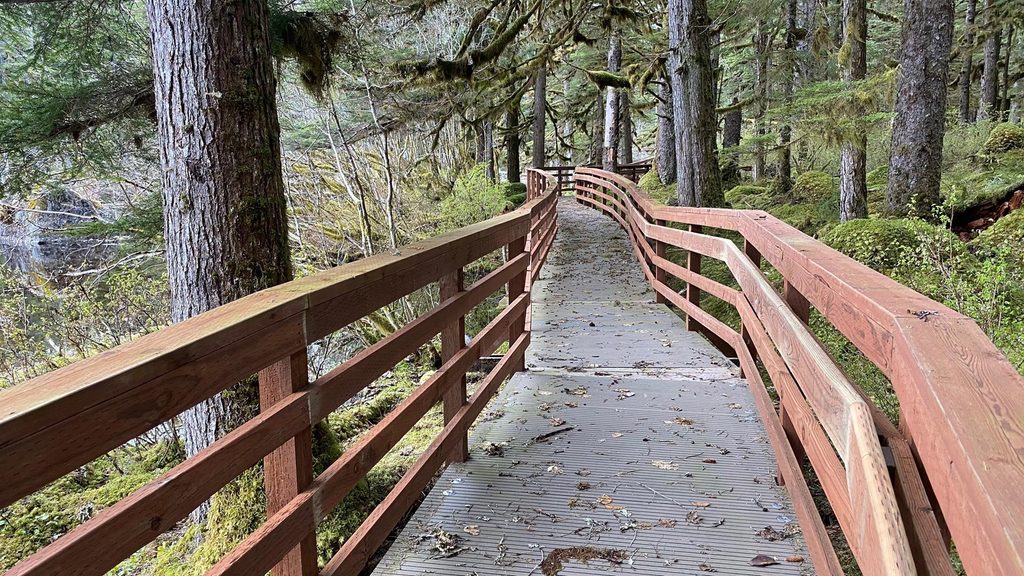 Forest Loop Trail, Glacier Bay National Park