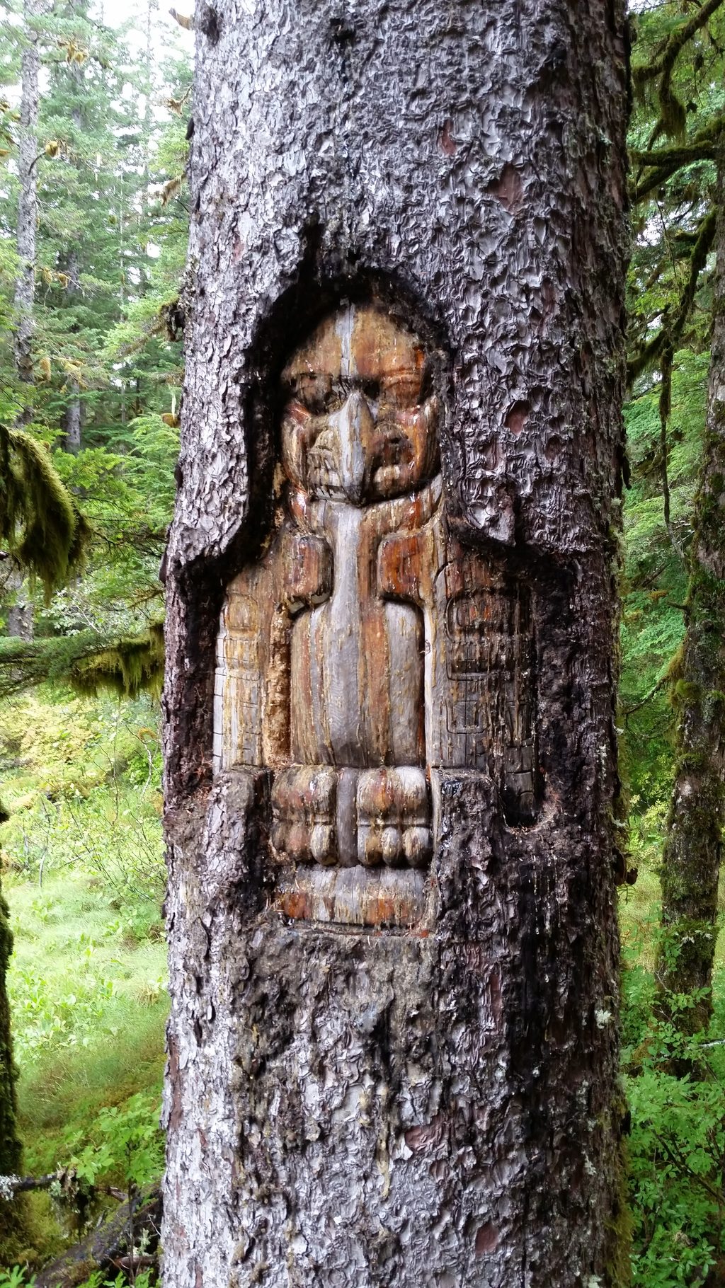 Tlingit Trail, Glacier Bay National Park