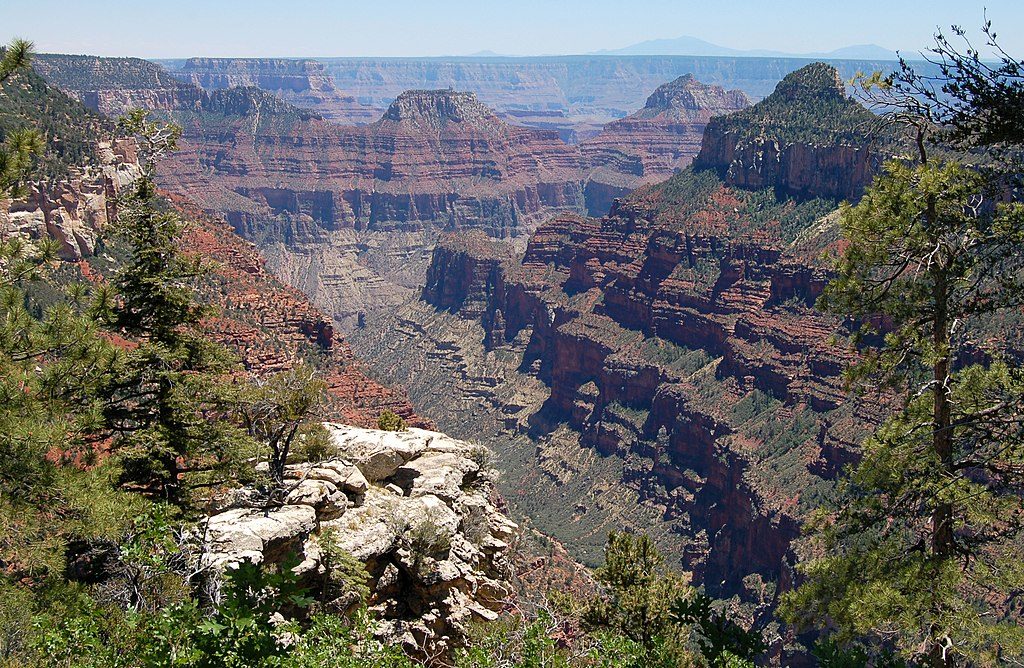 Widforss Trail, Grand Canyon National Park