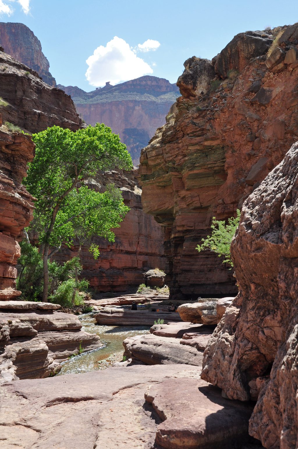 Deer Creek Trail, Grand Canyon National Park