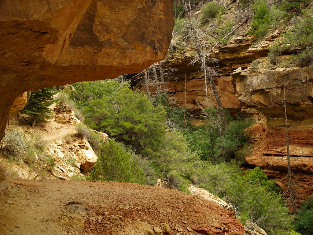 Cliff Springs Trail, Grand Canyon National Park