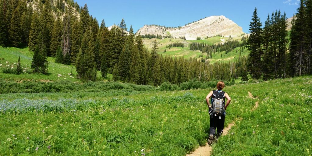 Granite Canyon Trail, Grand Teton National Park