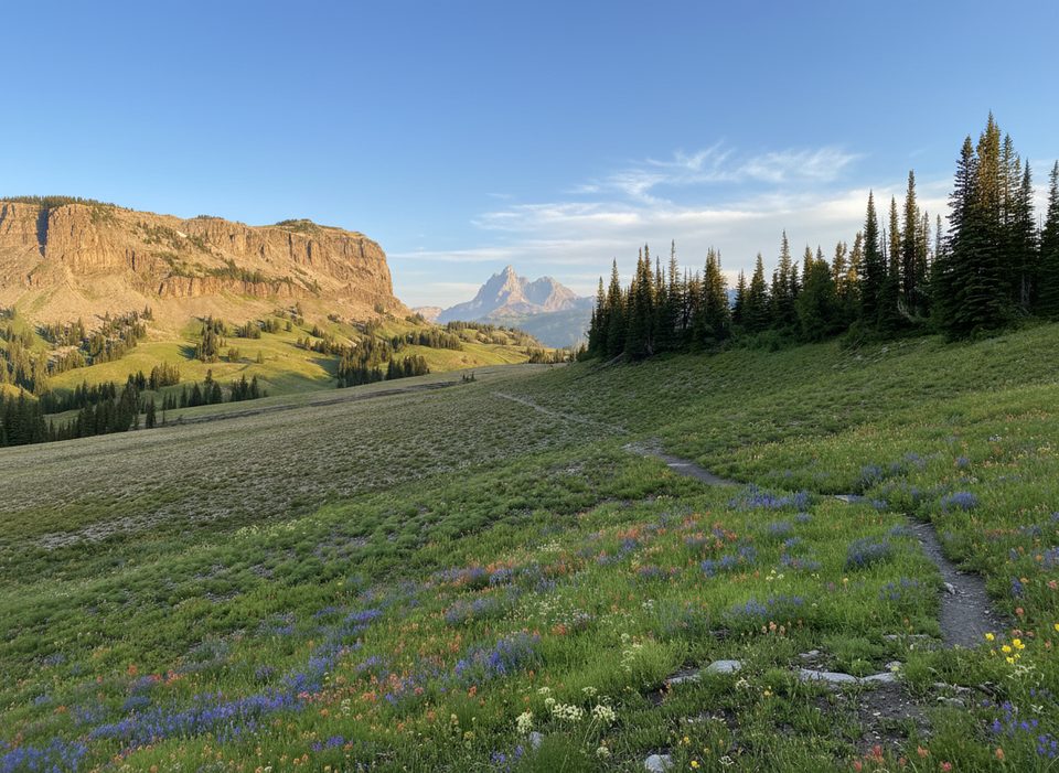 Fox Creek Pass Trail, Grand Teton National Park