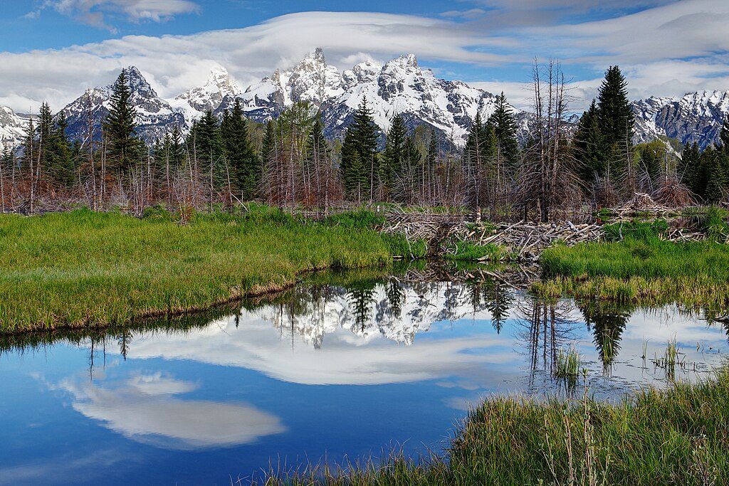 Schwabacher Landing Trail, Grand Teton National Park