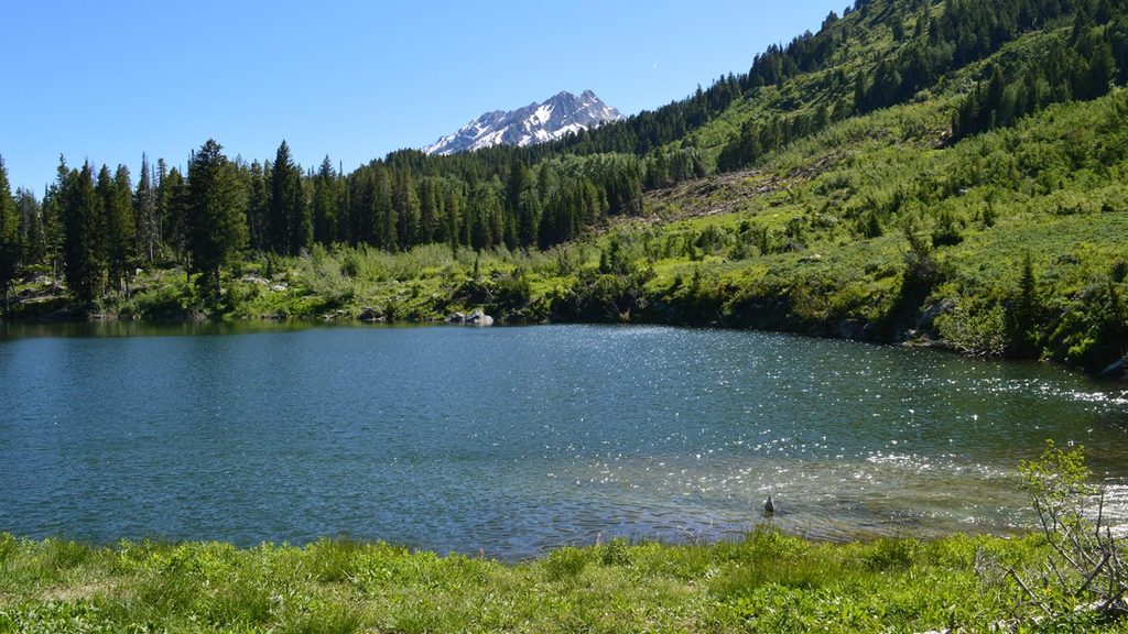 Bearpaw and Trapper Lakes Trail, Grand Teton National Park