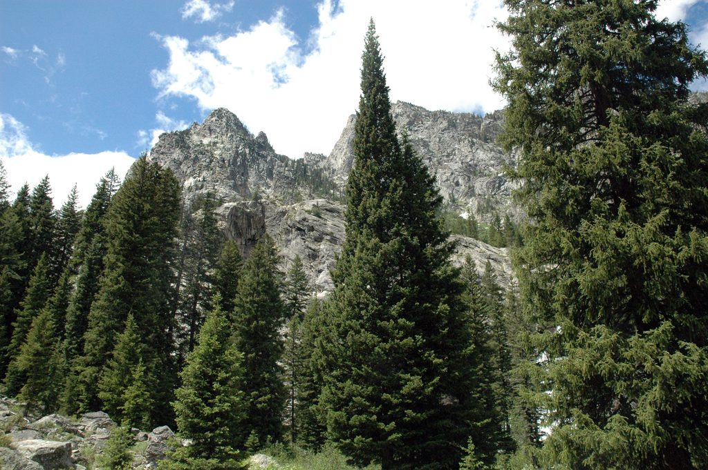Hidden Falls Trail, Grand Teton National Park