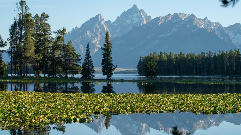 Heron Pond - Swan Lake Loop, Grand Teton National Park