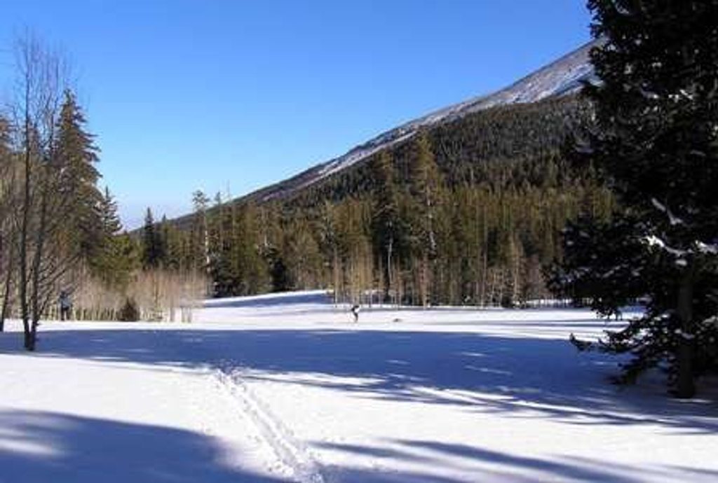 Lehman Creek Trail, Great Basin National Park