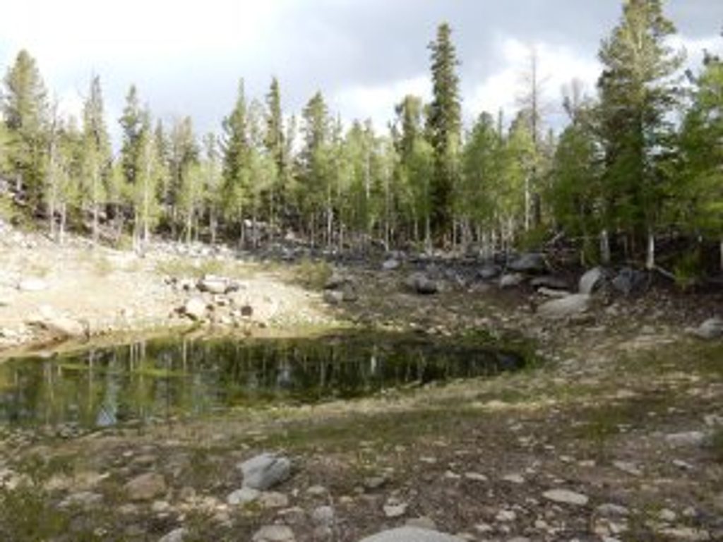 Dead Lake Loop, Great Basin National Park