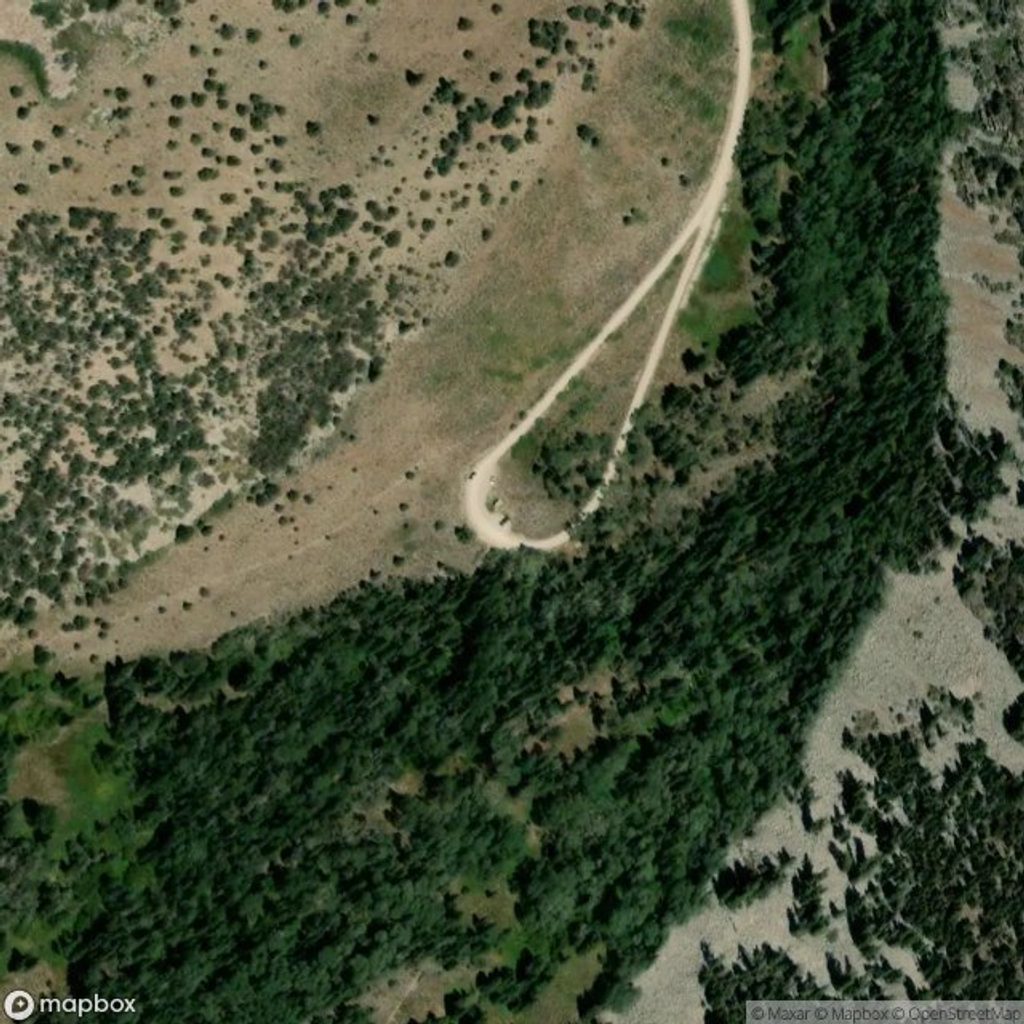 Baker Meadows Trail, Great Basin National Park